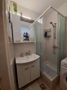 a bathroom with a shower and a sink and a shower at Apartman Iadera in Zadar
