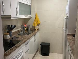 卡沃內拉斯的住宿－Ático 8 carboneras，一个带水槽和柜台的小厨房
