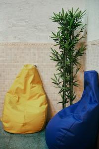 una bolsa de alubias amarillas y azules junto a una planta en LOFT HOSTAL Group en Lloret de Mar