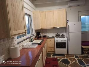 a kitchen with wooden cabinets and a white refrigerator at Vineyard of Valta in Marmari
