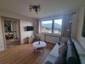 卑爾根的住宿－Ferienwohnungen Rodler，带沙发和大窗户的客厅