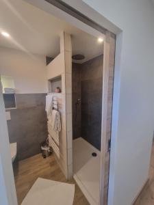 a bathroom with a walk in shower next to a toilet at Ferienwohnungen Rodler in Bergen