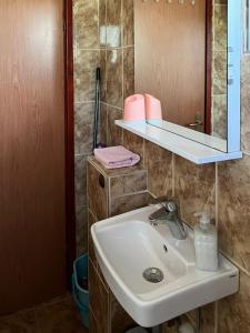 a bathroom with a sink and a mirror at Apartment Leda in Kraljevica +28 photos