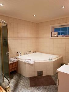 a bathroom with a bath tub and a shower at Sætre, Asker, egen båt ,kajakk,jacuzzi, rolig sted in Asker