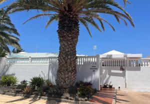 a palm tree in front of a white fence at Casa Costa Bella in Costa Teguise