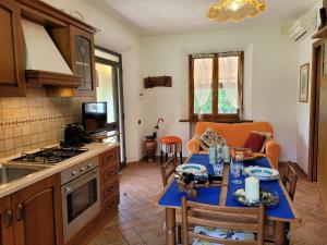 a kitchen with a table with a blue table at Villa Il Fontanino in Monticiano