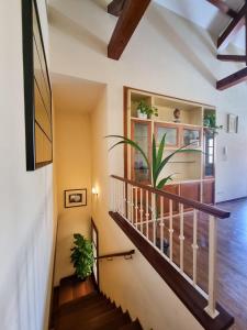 Una escalera en una casa con una planta en Upper Garden Guest House, en Cagliari