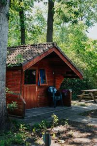 eine kleine Blockhütte mit einem Tisch und einem Stuhl in der Unterkunft Trekkershut I Ideale uitvalsbasis op de Veluwe in Epe