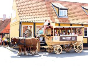 Fotografie z fotogalerie ubytování Holiday home Svaneke XL v destinaci Svaneke