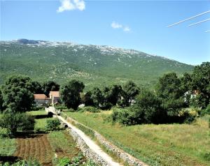 a dirt road in a field with a mountain in the background at Cozy place in Dugopolje