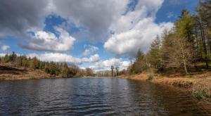 a river with trees on the side of it at Keepers Cottage in Rusland