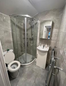 a bathroom with a shower and a toilet and a sink at Sterne Street in London