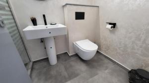 een badkamer met een witte wastafel en een toilet bij Boutique Global in Braşov +31 foto's