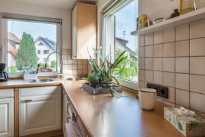 eine Küche mit Spüle und ein Fenster mit Pflanzen auf der Theke in der Unterkunft Landhausappartment in Bermatingen