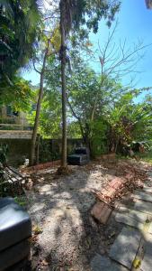 リオデジャネイロにあるCasa Sapucaiaのヤシの木と椅子のある庭