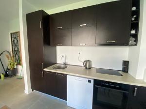 Kuchyň nebo kuchyňský kout v ubytování Onebedroom apartment with a pool and jacuzzy