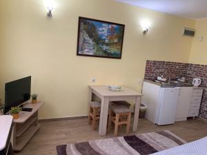 une cuisine avec une table et une petite cuisine avec un évier dans l'établissement Garsonjera Dunja, à Novi Sad