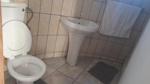 ein Bad mit einem WC und einem Waschbecken in der Unterkunft Falcon Lodge in Newcastle