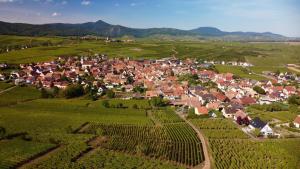 ベーブレンハイムにあるGîte du Vignobleのブドウ畑の小さな村の空中風景