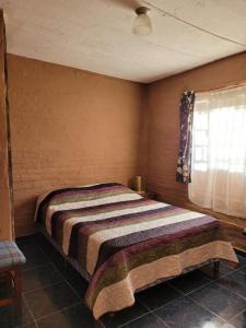 1 dormitorio con 1 cama en una habitación con ventana en Las Madres Selvas, en Las Toscas