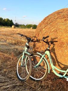 due biciclette parcheggiate in un campo vicino a un pagliaio di CASA AIDA B&B by Opera House 