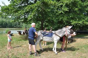 a man standing next to a donkey with people at Les Chalets Du Moulin Du Chatain 2 in Payzac