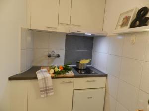 Kuchyň nebo kuchyňský kout v ubytování Apartments Lodra