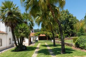 a garden with palm trees in front of a house at Quinta do Calvário 
