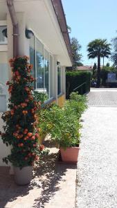 two pots of flowers in front of a building at Casa Versilia Hotel in Marina di Massa