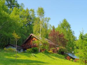 a log cabin on a hill with trees at Księżycowa Dolina in Lądek-Zdrój