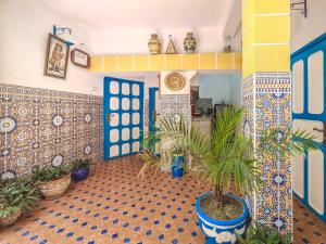 a room with potted plants on the floor of a house at Riad MIYA in Essaouira