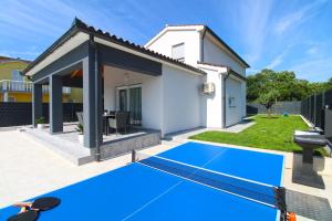 een villa met een blauw volleybalveld in een achtertuin bij House Sanja 2278 in Pula