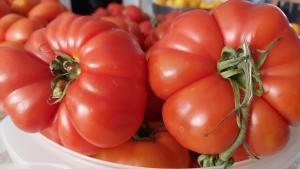 a bowl of red tomatoes on a table at Arcamyrtus in Alghero