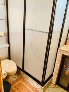 bagno con doccia e servizi igienici. di Casa Vacacional Nieves en PZ-Piscina Privada-WIFI a San José