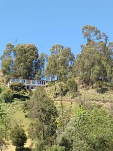 une maison au sommet d'une colline avec des arbres dans l'établissement Casablanca Choachi, à Choachí