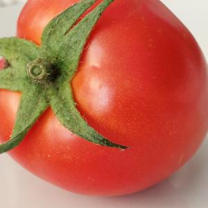 a red tomato with green leaves on it at Arcamyrtus in Alghero