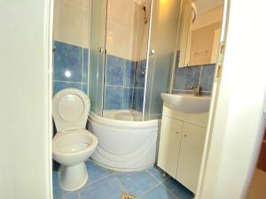 a bathroom with a toilet and a shower and a sink at Apartament Pescăruș in Schitul