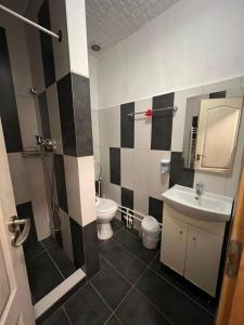 ein Badezimmer mit Waschbecken und Toilette in der Unterkunft CASA ARIAN in Haţeg