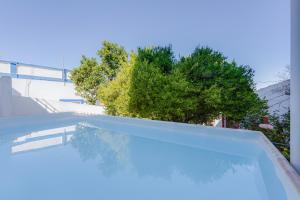 a swimming pool with blue water and a tree at DOROTHEA HOUSE by Stay in Alentejo in Cercal