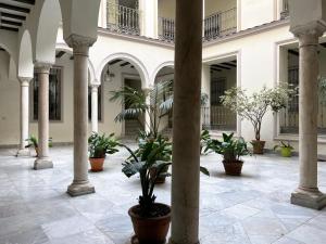 un patio con macetas en un edificio en Estudio Suite San Vicente - Aloha Sevilla, en Sevilla