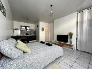 1 dormitorio con 1 cama grande y TV en Nid de Villeneuve - 2 pers., en Villeneuve-sur-Yonne