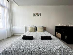 1 dormitorio con 1 cama grande y 2 almohadas en Nid de Villeneuve - 2 pers., en Villeneuve-sur-Yonne