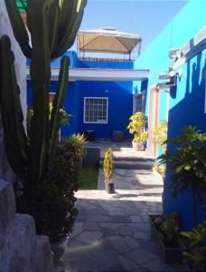 una casa azul con un cactus delante en COLONIAL SAN LAZARO, en Arequipa