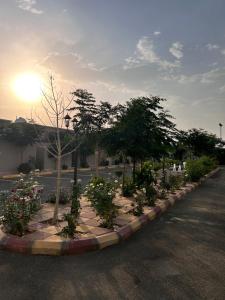 una fila di alberi e fiori su una strada di شاليهات ليالي العقيق ad Al ‘Aqīq