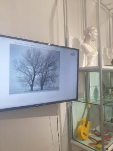 TV a/nebo společenská místnost v ubytování CIRCE