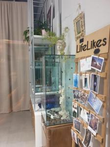 Fotografie z fotogalerie ubytování CIRCE v destinaci Kavala