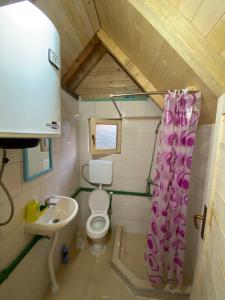 Baño pequeño con aseo y lavamanos en Wooden houses Bojovic en Gusinje