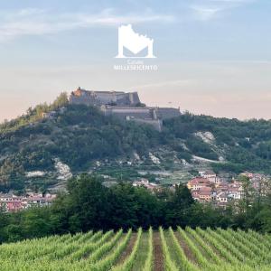 a castle on top of a hill with a vineyard at Casale Milleseicento in Gavi