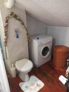 a bathroom with a toilet and a washing machine at CASA VACANZA LA MANSARDINA in Pavia