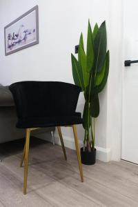 a black chair in a room with a plant at Fewston House in Leeds
